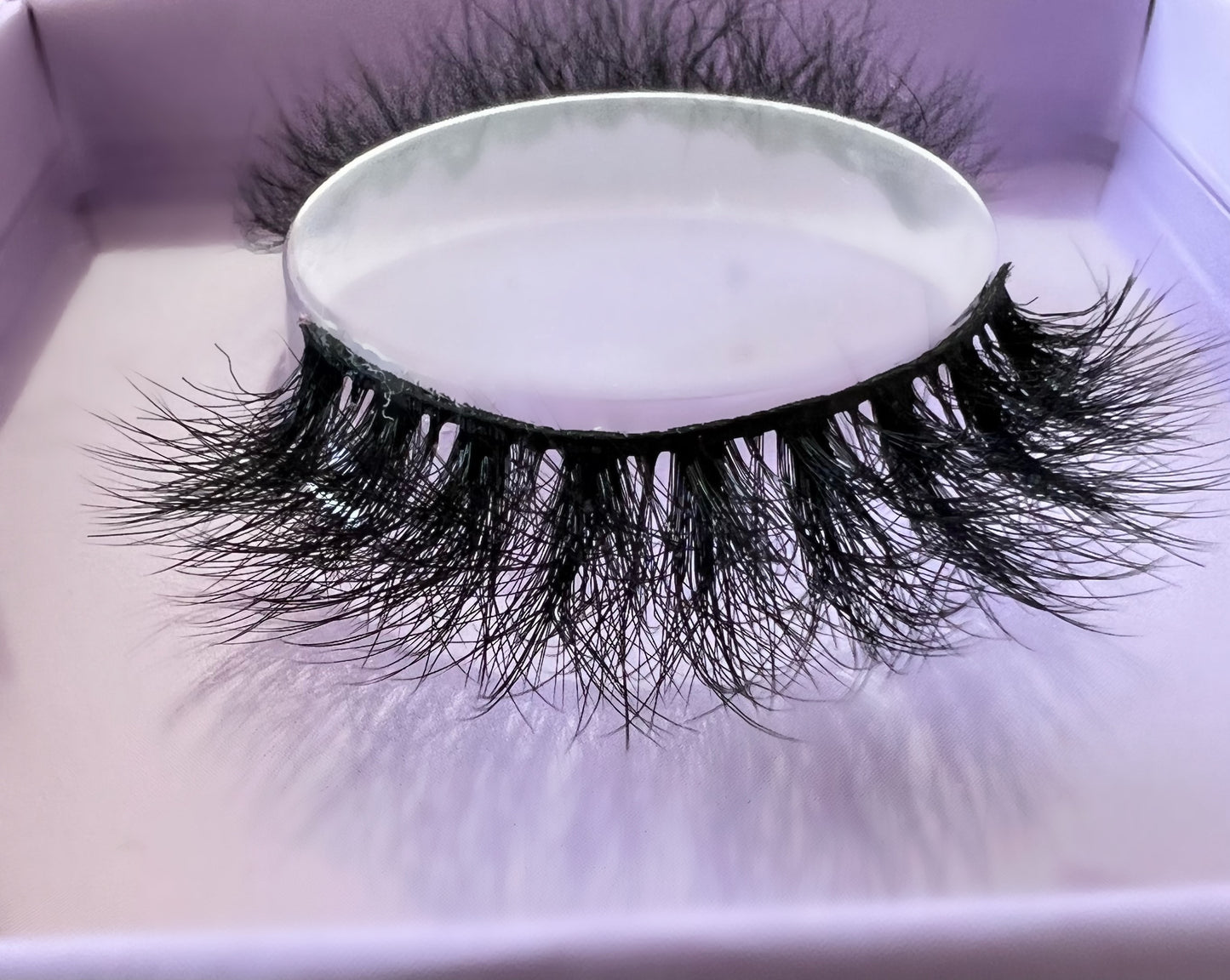Neek Lashes | Confident