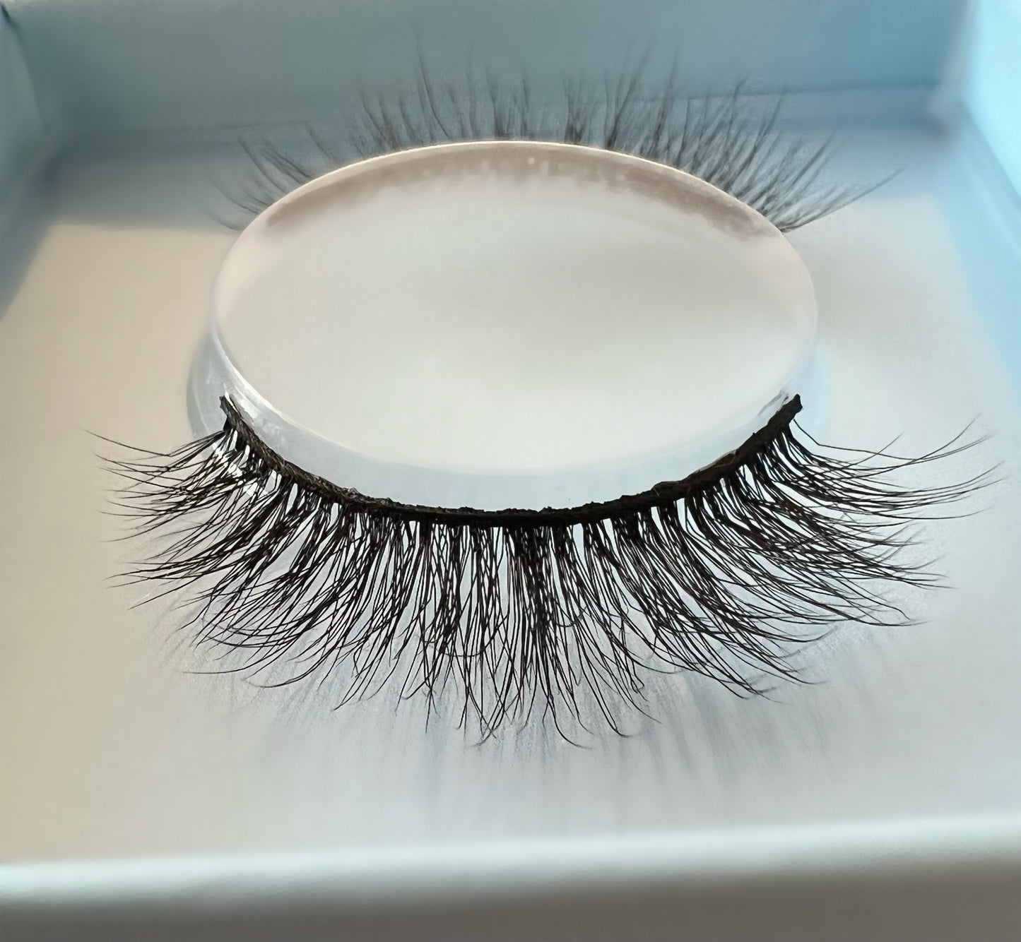 Neek Lashes | Independent